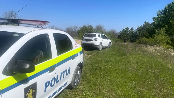FOTO/ Saci cu resturi de animale, aruncați lângă Vorniceni. Autoritățile avertizează despre riscuri pentru sănătate