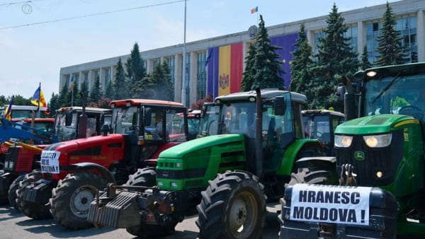 Tensiuni între autorități și agricultori. Fermierii se opun categoric majorării TVA la 20%: „O lovitură de grație…”