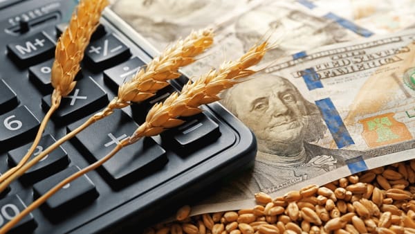 Start depunerii cererilor: fermierii afectați de seceta din 2025 pot solicita ajutor financiar