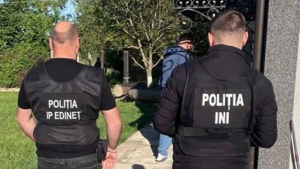 VIDEO/ Percheziții de amploare în nordul țării - defrișări și furt de masă lemnoasă. Șapte persoane, reținute