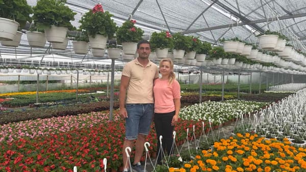 FOTO/ O afacere care înflorește la sat. O familie din Boscana cultivă peste 30 de soiuri de flori