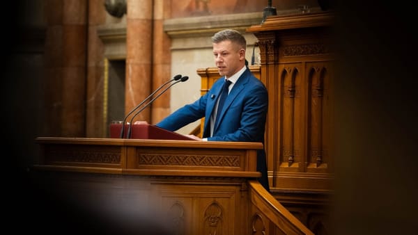 Parlamentul Ungariei a aprobat tăieri salariale pentru deputați, premier și miniștri