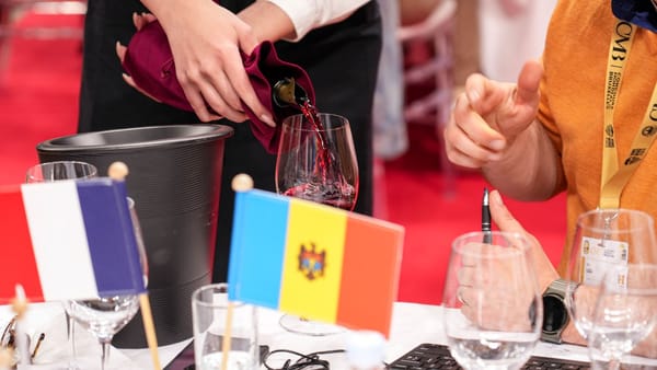Vinurile moldovenești au strălucit la „Concours Mondial de Bruxelles”. Țara noastră a cucerit 79 de medalii