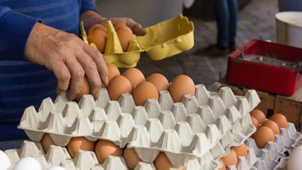 Un lot de ouă produse în raionul Ungheni, retras de pe piață. Există risc de contaminare cu Salmonella