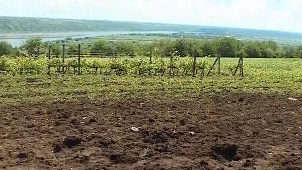Explozia dronei de la Lopatna pune autoritățile în dificultate. Proprietarul terenului afectat cere despăgubiri