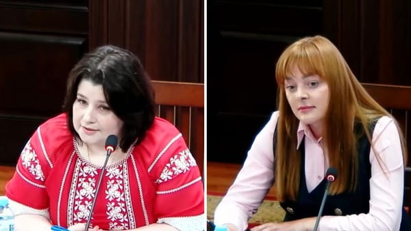 Ana Cucerescu și Elena Croitor, propuse pentru funcția de judecător la Curtea Supremă de Justiție