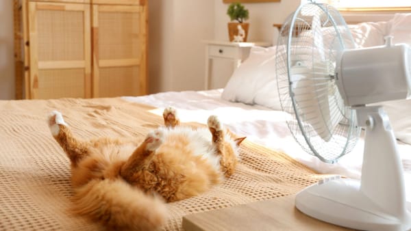Codul galben de caniculă, prelungit pentru 23 iunie. Temperaturile vor urca până la +35°C
