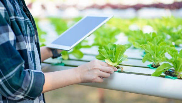 Agricultura R. Moldova se pregătește pentru regulile UE. Plățile, terenurile și fermele vor fi gestionate digital