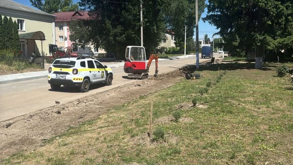 Grenadă din timpul celui de-Al Doilea Război Mondial, descoperită în timpul lucrărilor la un trotuar din Leova