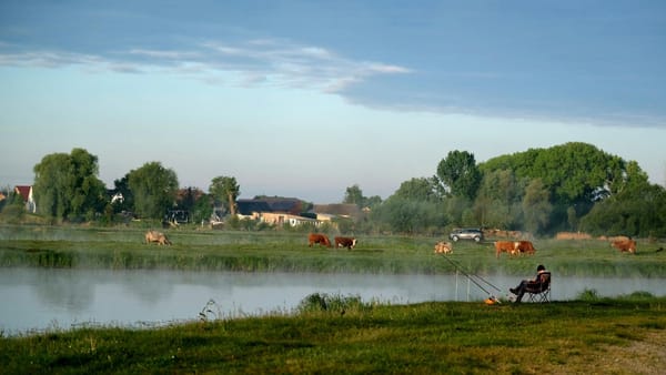 Ploile revin astăzi în sudul țării. Meteorologii prognozează temperaturi de până la +30°C