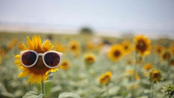 Vreme de vară în toată țara: până la +32°C și fără ploi semnificative