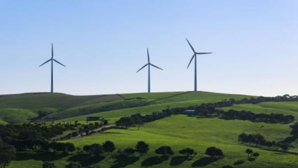 Bătălie pentru proiecte eoliene: cererea depășește de peste două ori oferta statului