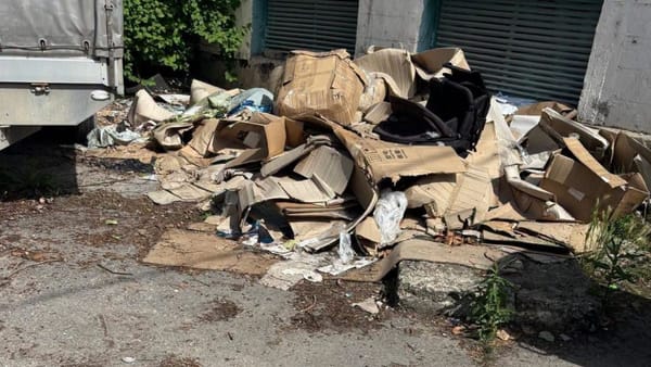Inspectorii de mediu au împărțit amenzi și au descoperit pagube de zeci de mii de lei la Bălți