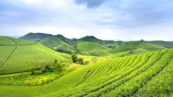 Noul Program Strategic al Politicii Agricole 2026-2030 a intrat în vigoare: sprijin extins pentru fermieri și investiții