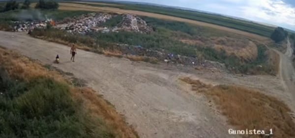 Inspectorii de mediu au găsit persoana care a provocat incendiul de la Gotești
