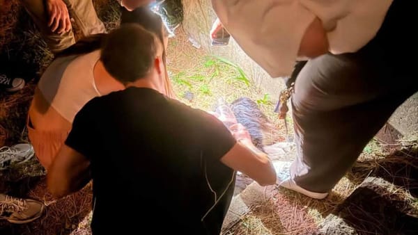 Un câine din orașul Florești a fost înjunghiat și lovit cu un scaun metalic. Ce spune Poliția - FOTO/VIDEO
