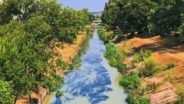 Bîcul, din nou în centrul atenției. Autoritățile încearcă să identifice sursa petelor observate pe râu