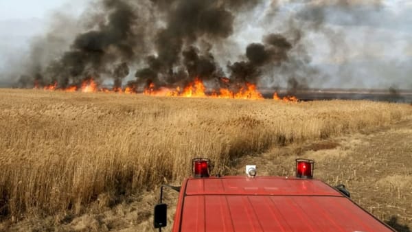 Incendiu într-un lan de grâu din raionul Telenești: 15 hectare de cultură au fost mistuite de flăcări
