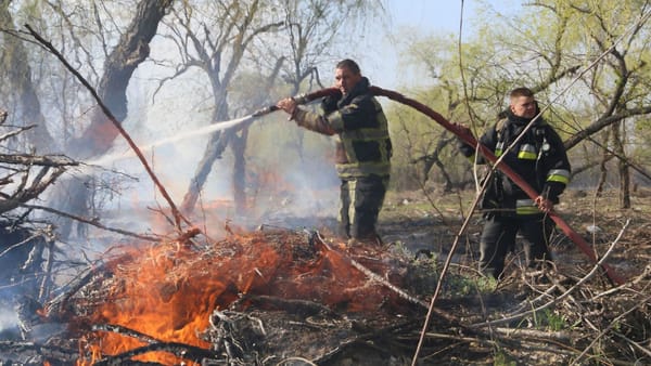 Pompierii moldoveni, solicitați din cauza incendiilor de vegetație: 16 intervenții în doar 24 de ore