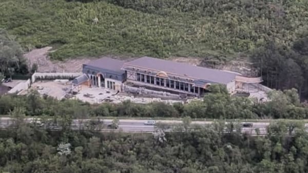 Pădure transformată în șantier, la marginea Chișinăului. Procurorii au făcut percheziții la „Doina”