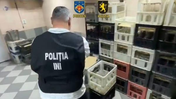 VIDEO/ 760 de sticle de divin „de 10 ani”, ridicate de polițiști. Băutura, contrafăcută și îmbuteliată ilegal la Chișinău
