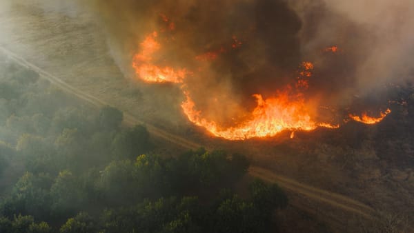 Cod galben de pericol de incendii de vegetație! Avertizarea este valabilă până pe 17 iulie
