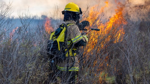Cod galben de pericol de incendii de vegetație. Avertizarea este valabilă până pe 22 iulie