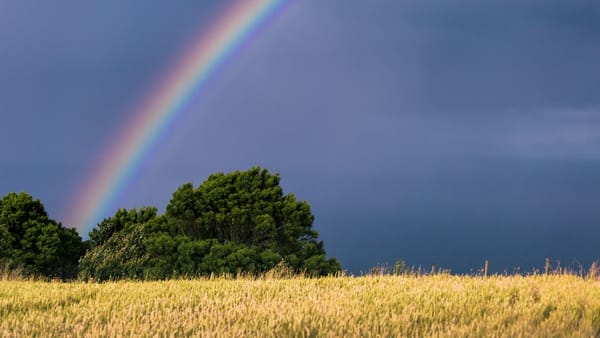 Meteorologii prognozează vreme mai caldă pentru astăzi. În sudul țării sunt așteptate ploi cu descărcări electrice