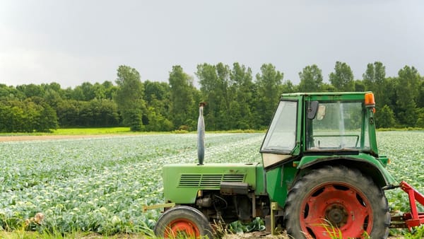 Peste 2.200 de agricultori vor primi compensații pentru accizele la motorină. AIPA a autorizat plăți de peste 61,7 milioane