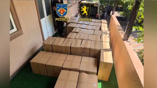 VIDEO/ Țigări de 1,3 milioane de lei, ascunse în mai multe depozite: anchetatorii au descoperit o rețea întreagă