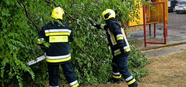 Vântul puternic a provocat mai multe incidente în țară. Salvatorii au intervenit pentru înlăturarea arborilor căzuți