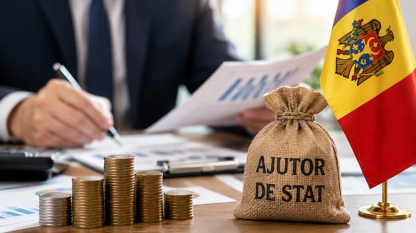 Statul schimbă regulile de sprijin pentru afaceri: până la 300.000 de euro ajutor în trei ani