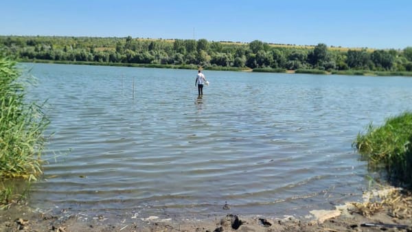 Inspectorii de mediu au prelevat probe din lacul Dănceni. Se investighează cauza pieririi peștilor