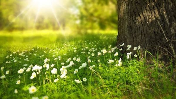 Vreme senină și temperaturi de până la +33 de grade vom avea în R. Moldova