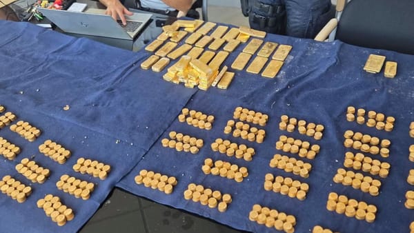 „Poate vom primi recompensă”. Un student a descoperit aur în valoare de 9 milioane de euro,  pe un șantier din Belgia