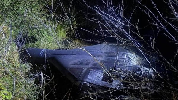 Drona care a survolat R. Moldova s-ar fi prăbușit într-un pom de nuc în România. Oamenii din zonă au fost evacuați