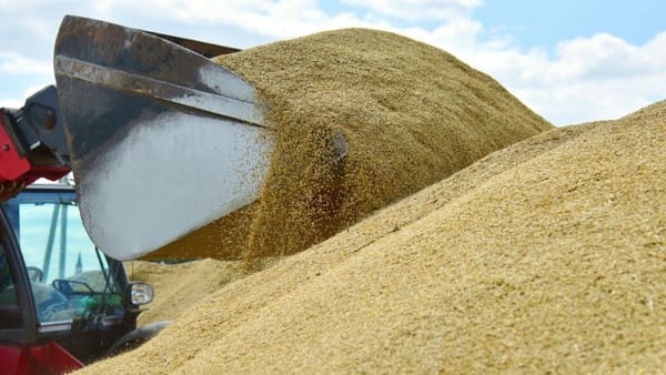 Exporturile agricole ale Ucrainei au scăzut cu aproape jumătate în august. Porumbul, în cădere cu peste 84%