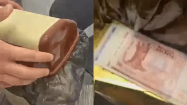 Venituri nedeclarate și bani ascunși într-un coș de gunoi: O companie de construcții, suspectată de evaziune fiscală