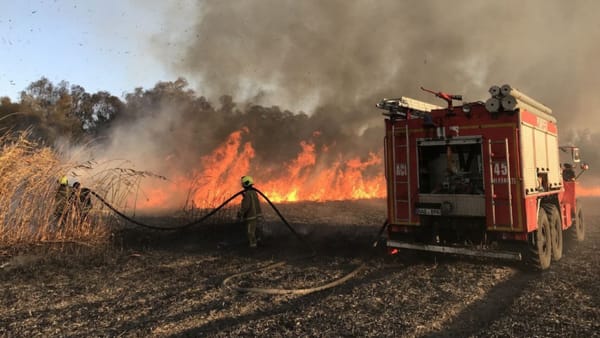 Codul galben de pericol de incendiu a fost prelungit până pe 14 august