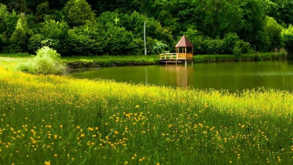 Cer predominant senin și maxime de până la +32°C. Prognoza meteo pentru 10 august