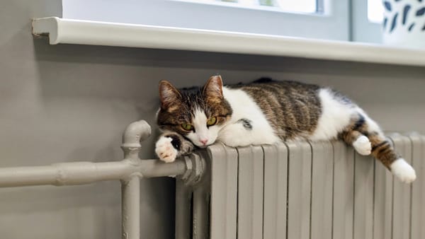 Energocom Trading va furniza gaze naturale către Termoelectrica în perioada octombrie 2026-aprilie 2027