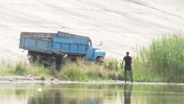 În lacul Dănceni au fost găsite sute de pești morți. Ministrul Mediului a anunțat verificări