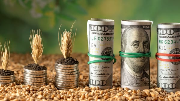 Bani pentru sate și agricultură: cea mai mare parte a finanțării merge prin Programul LEADER