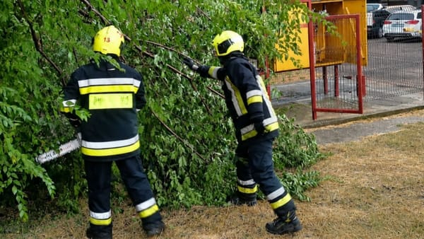 Vântul puternic și ploile au făcut ravagii: arbori prăbușiți peste blocuri, case, o farmacie și un automobil