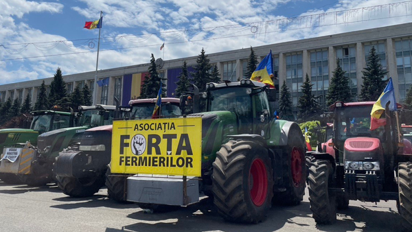 Forța Fermierilor cere intervenția urgentă a Guvernului: „Importurile de grâu ieftin din Ucraina pot distruge piața