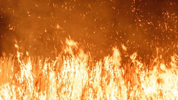 Incendiile au scăzut cu 40% în iulie 2026. IGSU: Măsurile de prevenire și intervențiile rapide au dat rezultate