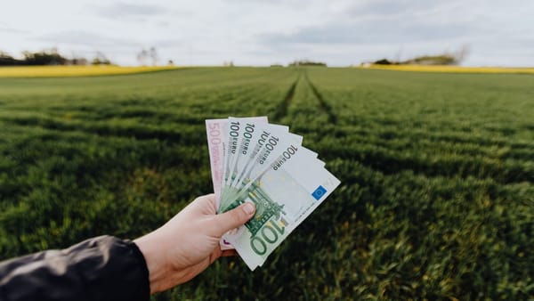 Peste un miliard de lei, achitați fermierilor în primele șase luni ale anului 2026. Plățile au crescut cu 84%
