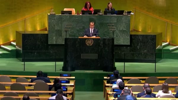 Tofan, de la tribuna ONU: Încălcările spațiului aerian al R. Moldova riscă să devină o „normalitate”