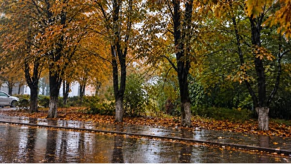 Luni scoatem umbrelele: ploile ajung în mai multe regiuni, iar temperaturile nu vor depăși +23°C