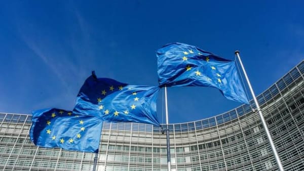 Un grup de țări din UE vor să reducă puterea veto-ului în politica externă